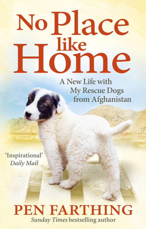 Book cover of No Place Like Home: A New Beginning with the Dogs of Afghanistan