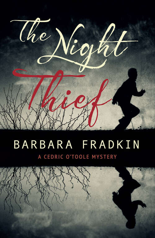 Book cover of Night Thief, The