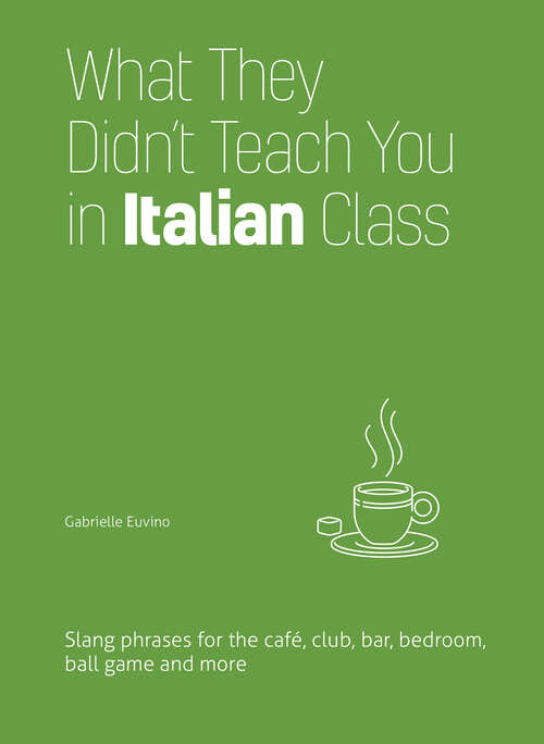 Book cover of What They Didn't Teach You in Italian Class: Slang Phrases for the Cafe, Club, Bar, Bedroom, Ball Game and More
