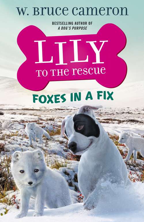 Book cover of Lily to the Rescue: Foxes in a Fix (Lily to the Rescue! #7)