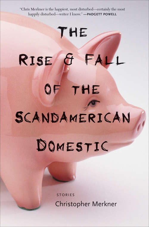 Book cover of The Rise & Fall of the Scandamerican Domestic: Stories