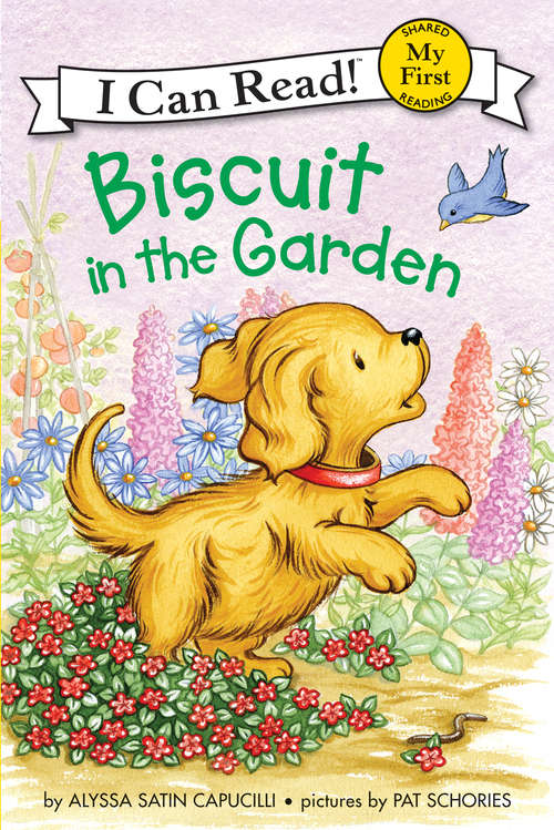Book cover of Biscuit in the Garden (My First I Can Read)