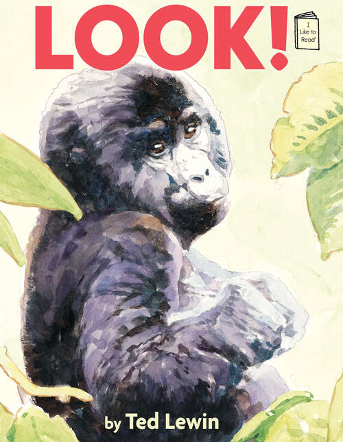 Book cover of Look! (I Like to Read)