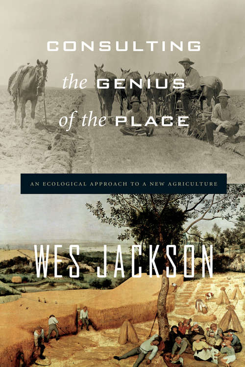 Book cover of Consulting the Genius of the Place