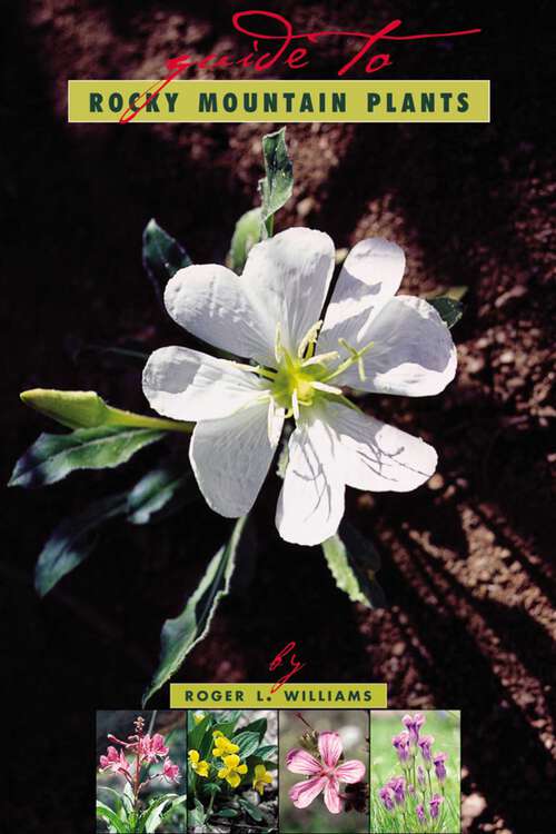 Book cover of A Guide To Rocky Mountain Plants, Revised