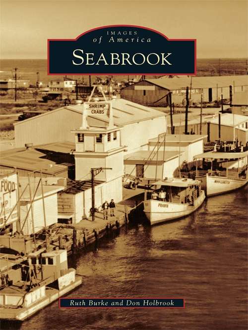 Book cover of Seabrook