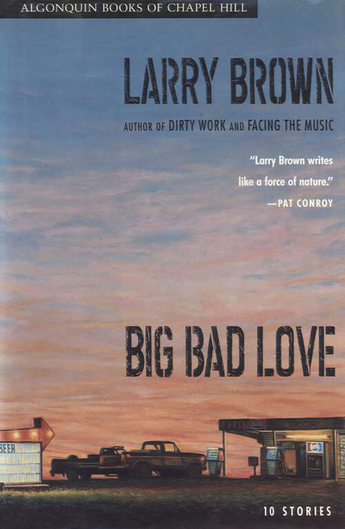 Book cover of Big Bad Love: Stories