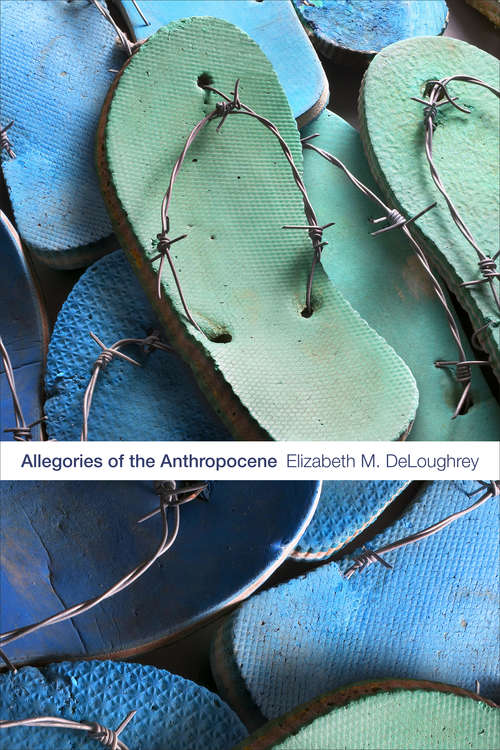 Book cover of Allegories of the Anthropocene