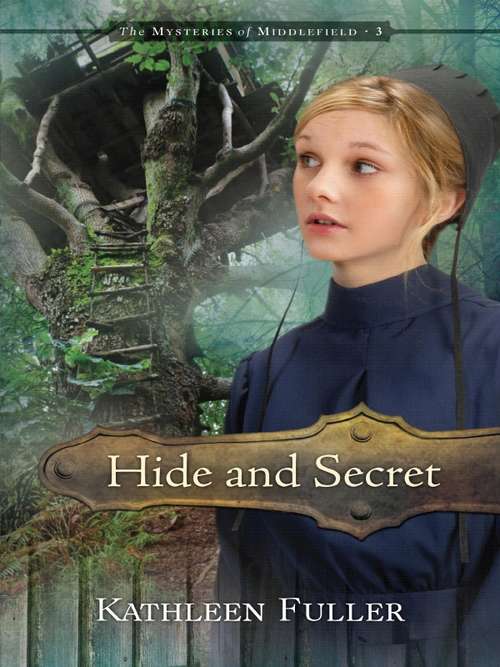 Book cover of Hide and Secret