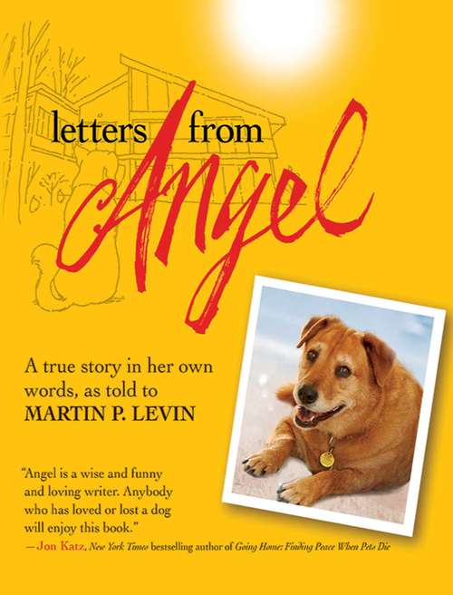 Letters from Angel: A True Story In her Own Words