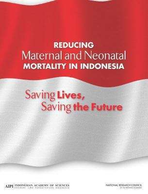 Reducing Maternal and Neonatal Mortality in Indonesia