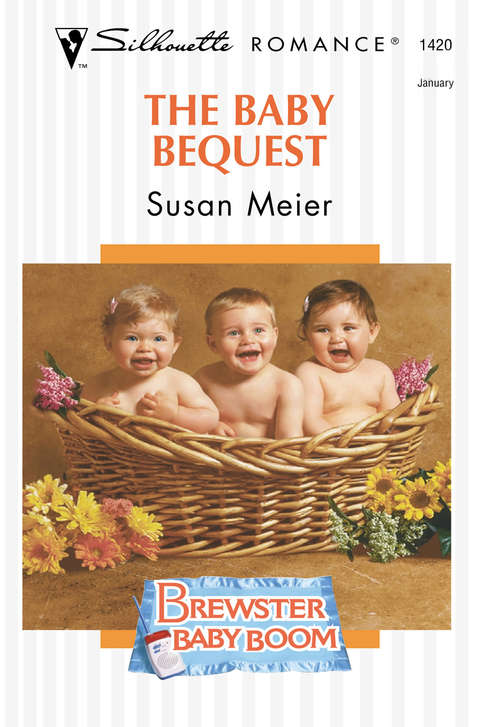 Book cover of The Baby Bequest