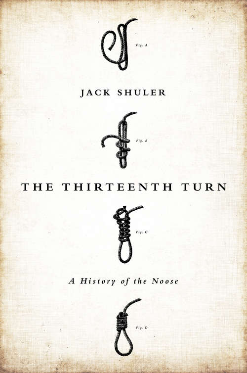 Book cover of The Thirteenth Turn