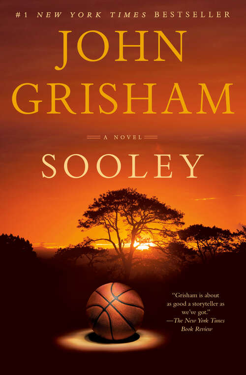 Book cover of Sooley: A Novel