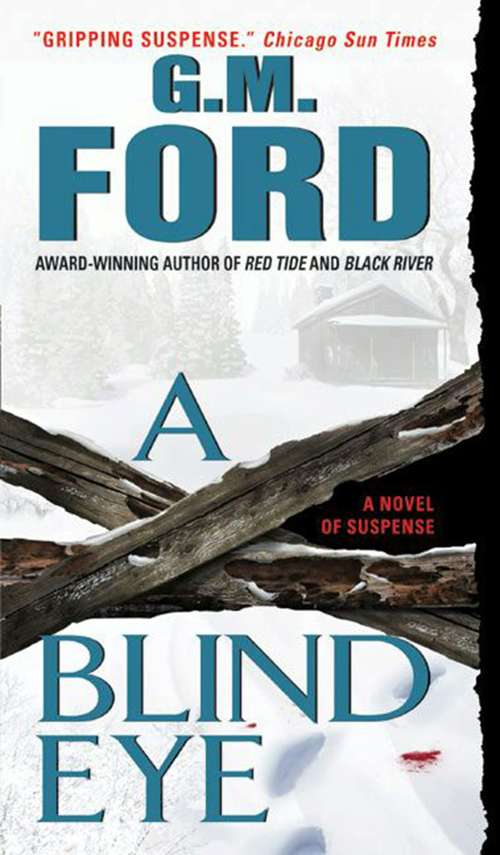 Book cover of A Blind Eye