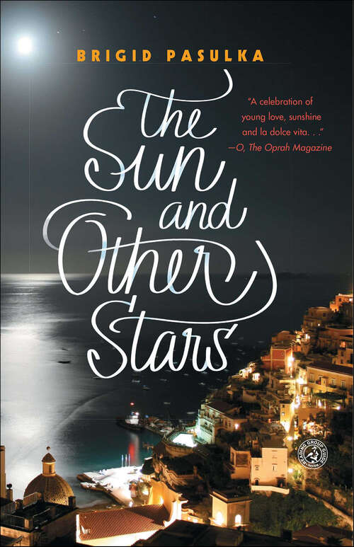 Book cover of The Sun and Other Stars: A Novel
