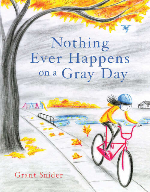 Book cover of Nothing Ever Happens on a Gray Day