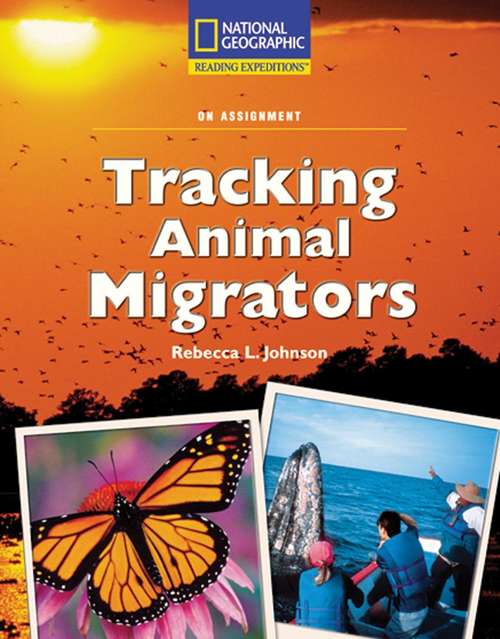 Tracking Animal Migrators: National Geographic On Assignment