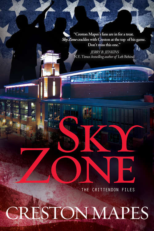 Book cover of Sky Zone