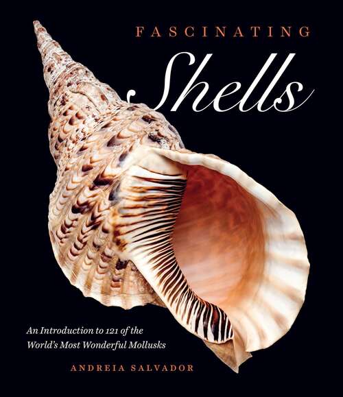 Book cover of Fascinating Shells: An Introduction to 121 of the World’s Most Wonderful Mollusks