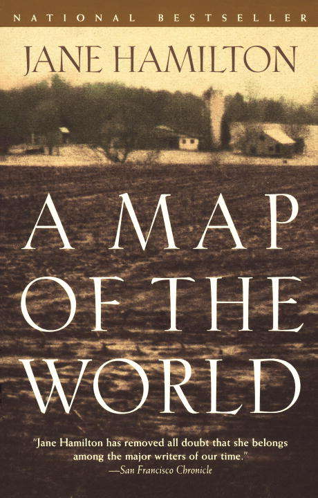 Book cover of A Map of the World: A Novel