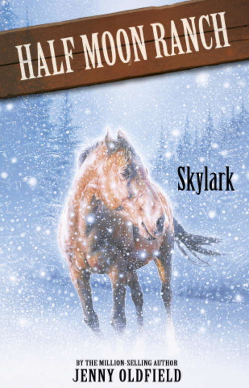 Book cover of Skylark: Book 17 (Horses of Half Moon Ranch #17)
