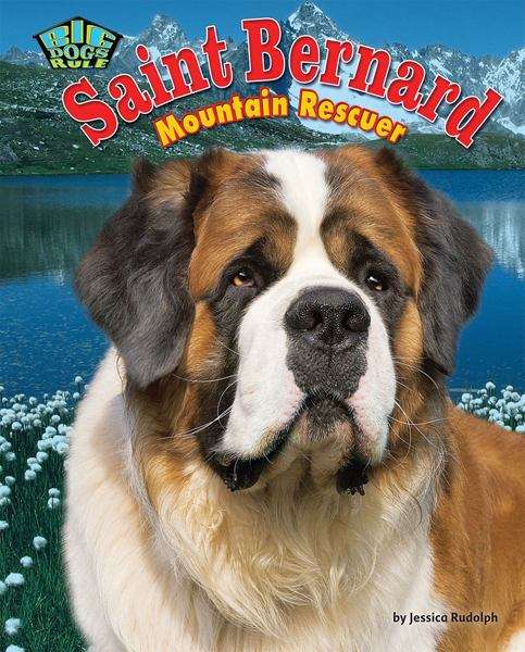 Book cover of Saint Bernard: Mountain Rescuer (Big Dogs Rule)