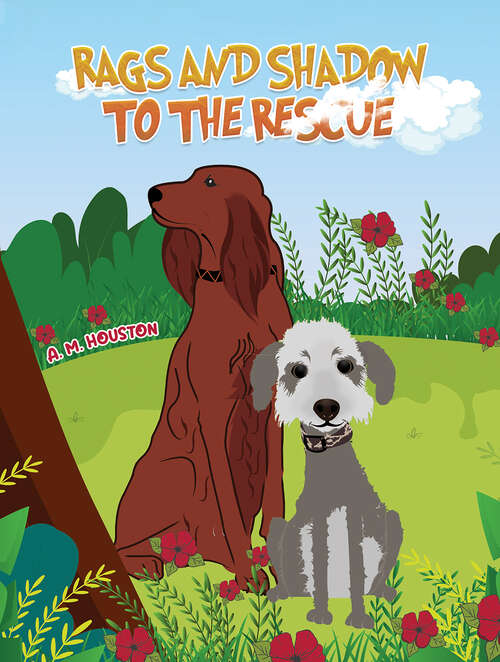 Book cover of Rags and Shadow to the Rescue