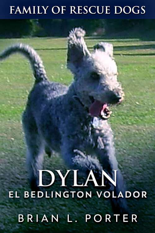 Book cover of Dylan - El Bedlington Volador