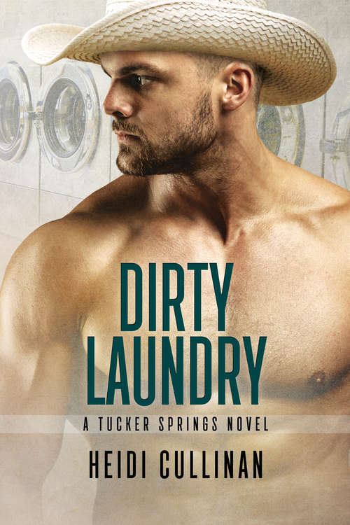 Book cover of Dirty Laundry (2) (Tucker Springs #3)