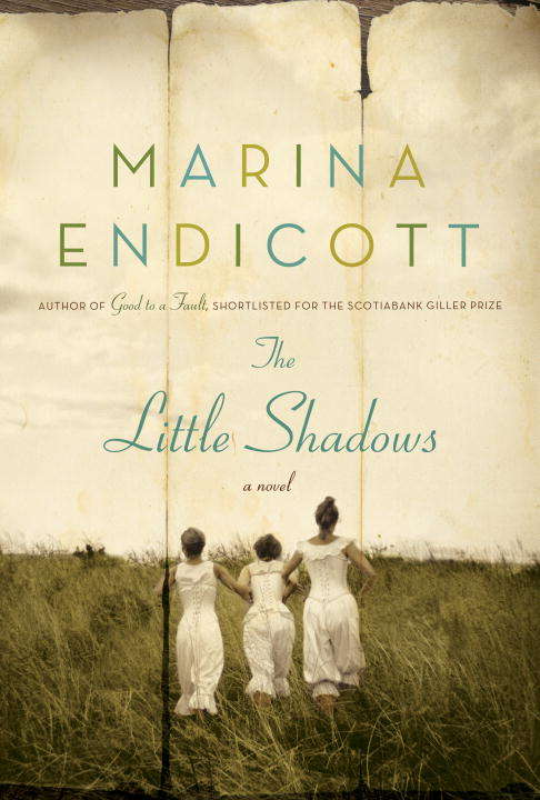 Book cover of The Little Shadows