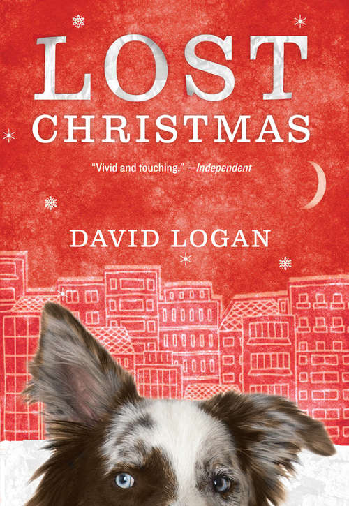 Book cover of Lost Christmas