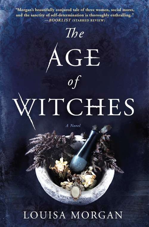 Book cover of The Age of Witches: A Novel