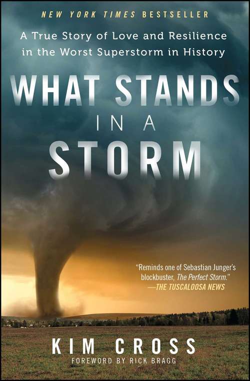 Book cover of What Stands in a Storm