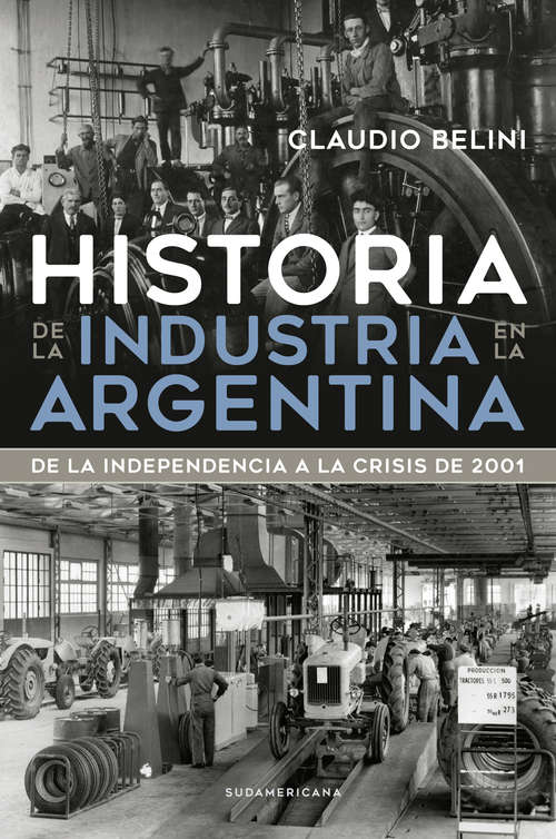 Book cover of Historia de la industria en la Argentina: De la Independencia a la crisis de 2001