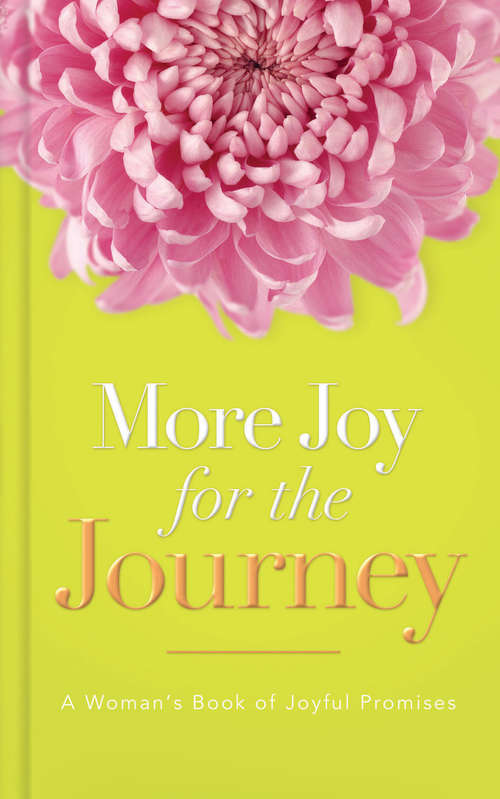 Book cover of More Joy for the Journey