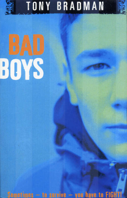 Book cover of Bad Boys