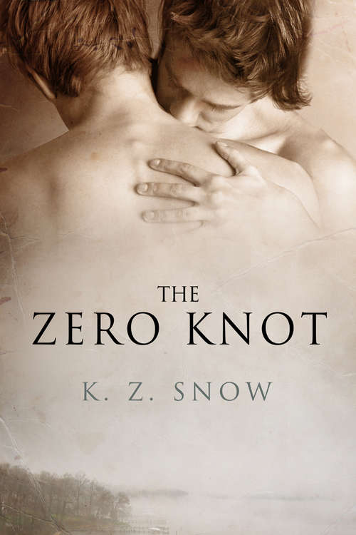Book cover of The Zero Knot