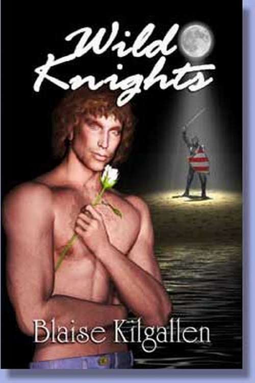 Book cover of Wild Knights