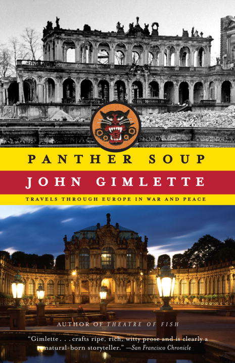 Book cover of Panther Soup