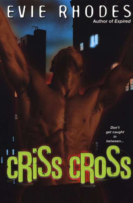 Book cover of Criss Cross