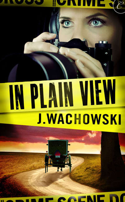 Book cover of In Plain View