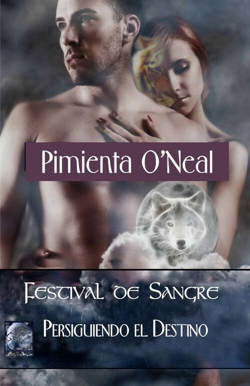 Book cover of Fiesta de sangre: PERSIGUIENDO EL DESTINO