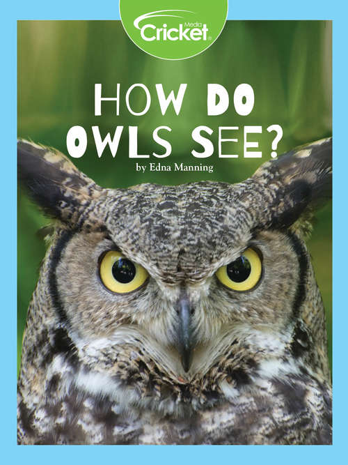 Book cover of How Do Owls See?