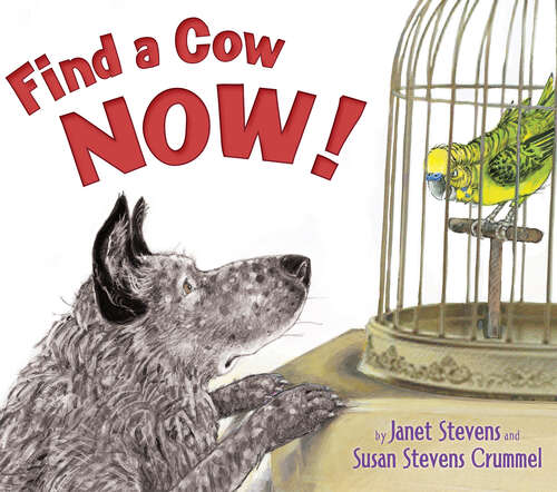 Find a Cow Now!