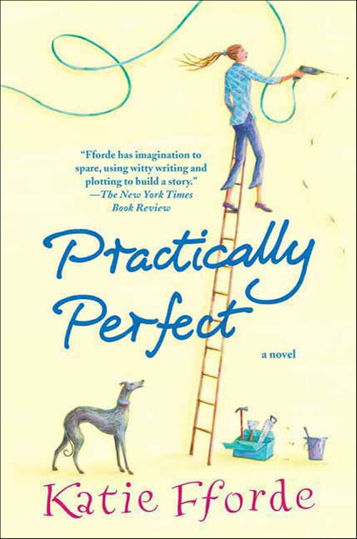 Book cover of Practically Perfect: A Novel