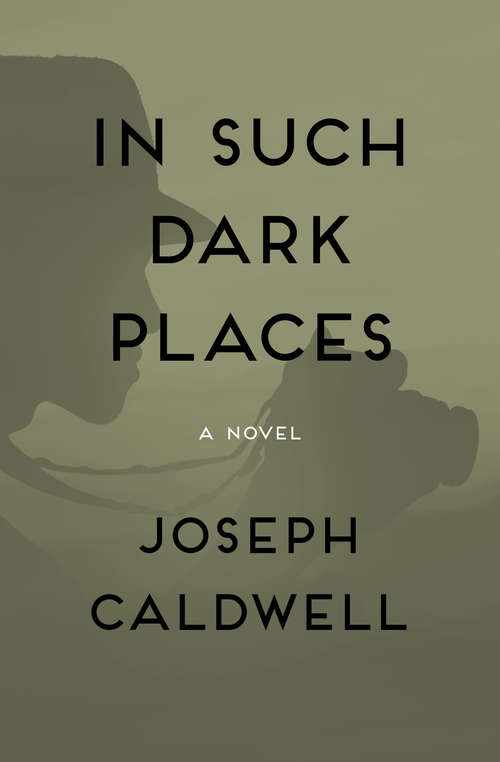 Book cover of In Such Dark Places: A Novel
