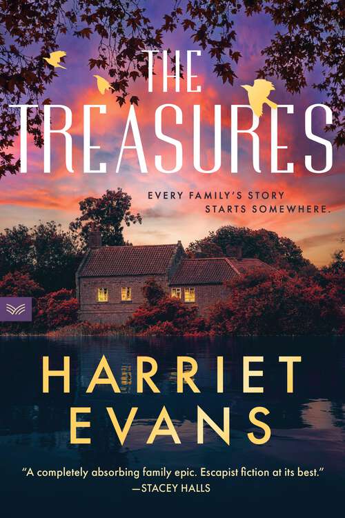 Book cover of The Treasures: A Novel