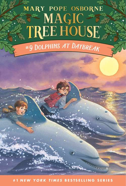 Book cover of Dolphins at Daybreak (Magic Tree House #9)