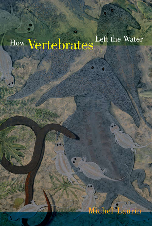 How Vertebrates Left the Water